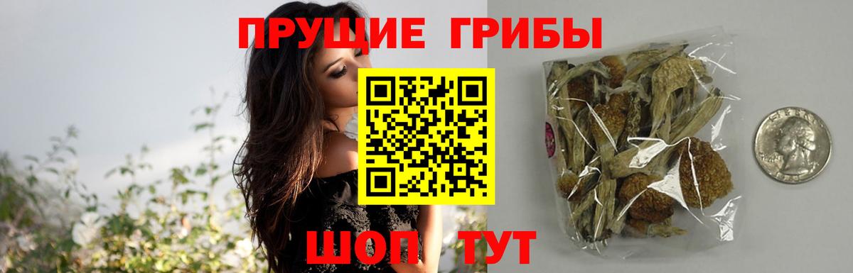Галлюциногенные грибы мицелий  Вход с VPN  Псилоцибиновые грибы Psilocybe  Усть-Лабинск 